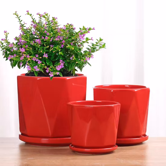 고속 세라믹 아니록스 롤러 4색 PE/PP/OPP/Non