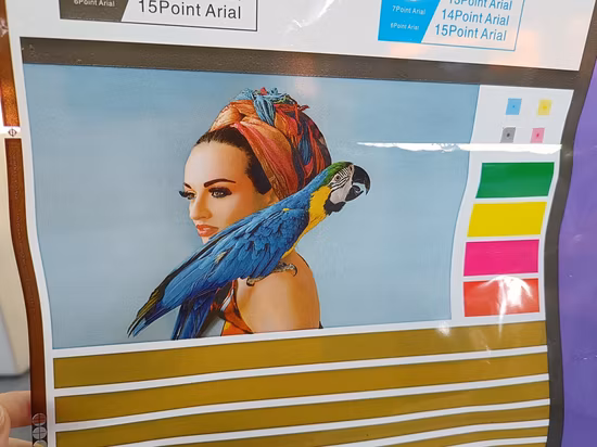 플렉소 인쇄기 2색